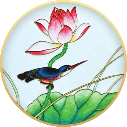 图层 5